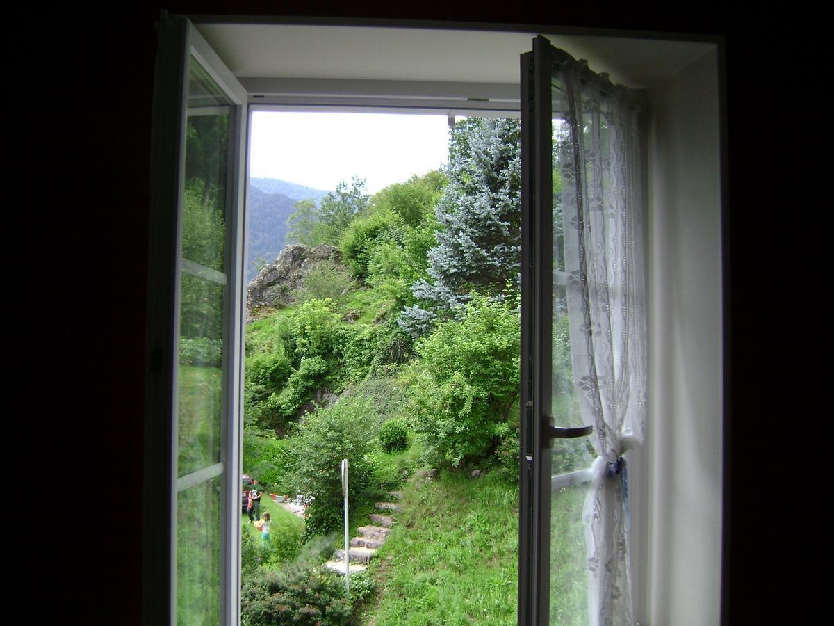 Urbès Les Volets Bleus Alsace Vosges B&B 외부 사진