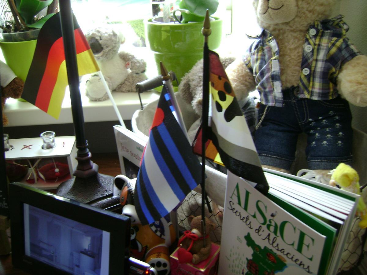 Urbès Les Volets Bleus Alsace Vosges B&B 객실 사진