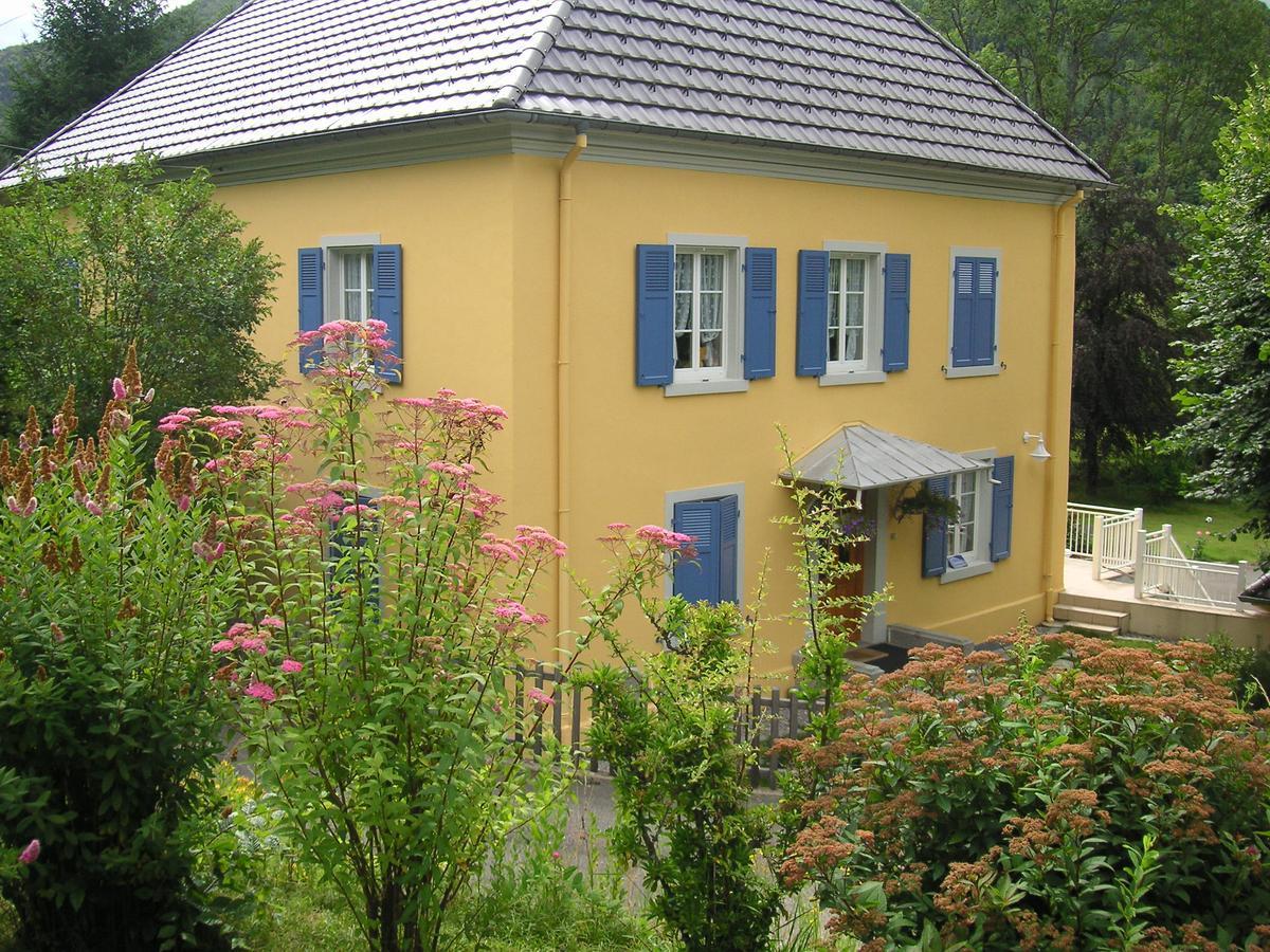 Urbès Les Volets Bleus Alsace Vosges B&B 외부 사진