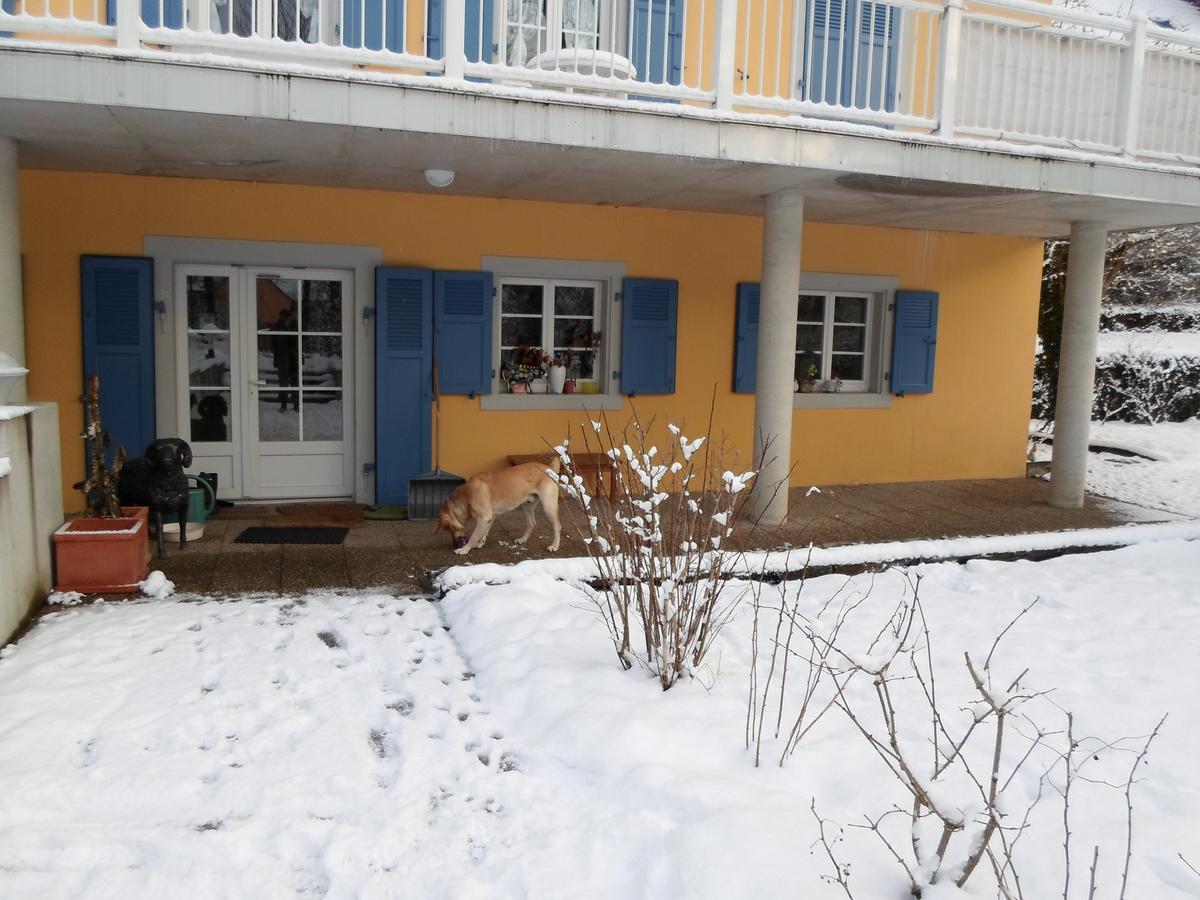 Urbès Les Volets Bleus Alsace Vosges B&B 외부 사진