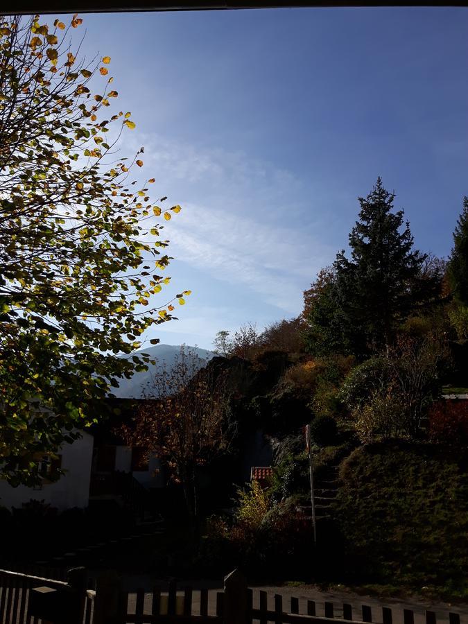 Urbès Les Volets Bleus Alsace Vosges B&B 외부 사진