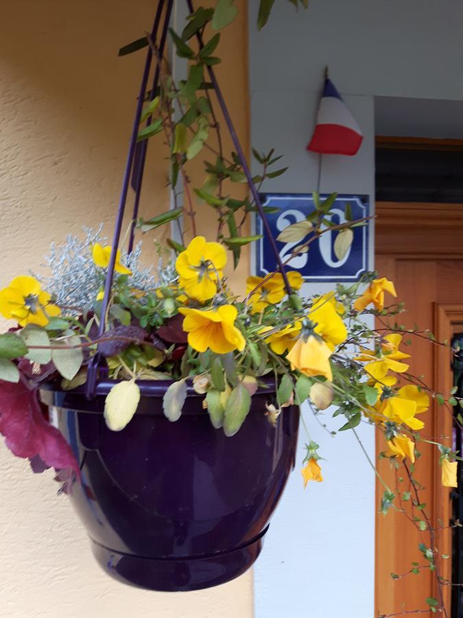 Urbès Les Volets Bleus Alsace Vosges B&B 외부 사진
